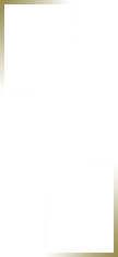 咨询